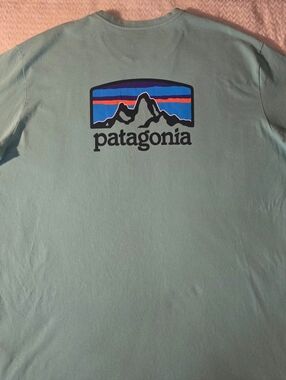 Patagonia Seafoam Green Short-Sleeve Logo Tee